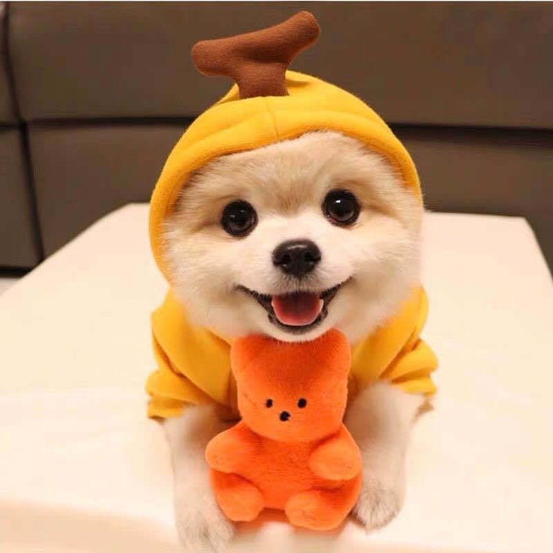 Cute Fruit Dog Clothes For Small Dogs Hoodies Winter Warm Fleece Pet Clothing Puppy Cat Costume Coat For French Chihuahua Outfit - Newshine.com